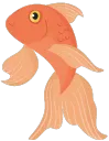 fish2