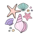 seashells