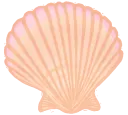 seashell