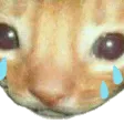 catCry