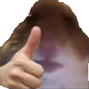 dado_nice