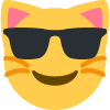 4021swagcat Discord emoji