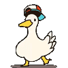 duck