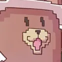 teddypog teddypog