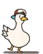 duckdance
