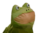 Dancingfrog dancingfrog Discord Emoji