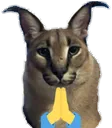 floppapray floppapray