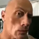 Sus