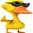 HC_SwagAgrees