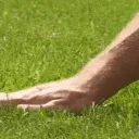 FF_TouchGrass