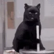 stirPOT