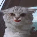 catsnapnyaa Discord Emoji