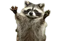 TPracchug