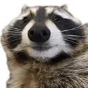 TPraccsmile