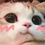 DawKitty