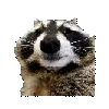 TPzoom