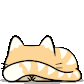 Kitty Peek Discord Emoji