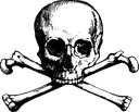 SkullnBones