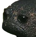 SADLITTLESHITAKAIDLE