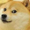 Doge Discord Emoji