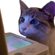 watchstream Discord emoji