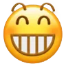 wc_widegrin