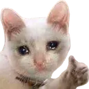 Rei_SadCatThumbsUp