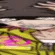 Soda_Pain