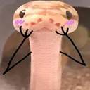 snekblush snekblush