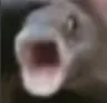 POG