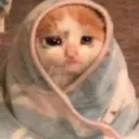 CWS_sedcat