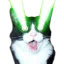 laserkitty