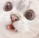 1amazed