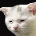 depression depression