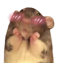 blushrat blushrat