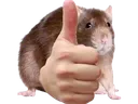 AAthumbsup