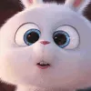 confusedbunny
