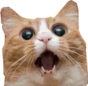 catamaze Discord Emoji