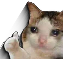 catthumb Discord emoji