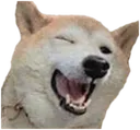 Dogewink dogewink Discord Emoji