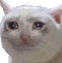 sadcat Discord emoji
