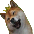 Dogehappy Discord Emoji