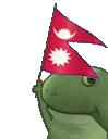 JN_frogeflagNP