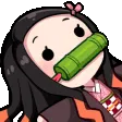 zzy_NezukoLost