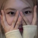 RoseShy RoseShy
