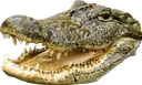 Deino