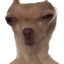 RIDluom