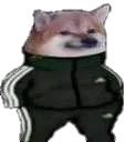 poloskidoge