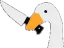squareup squareup