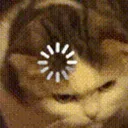 Cat Loading Discord Emoji